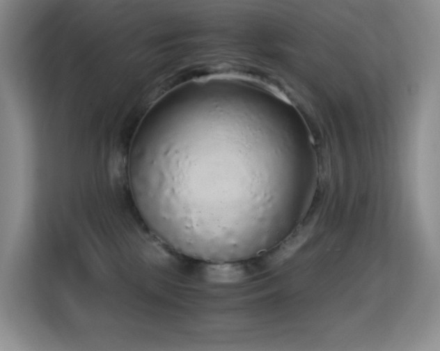 X0000114680281200910211216