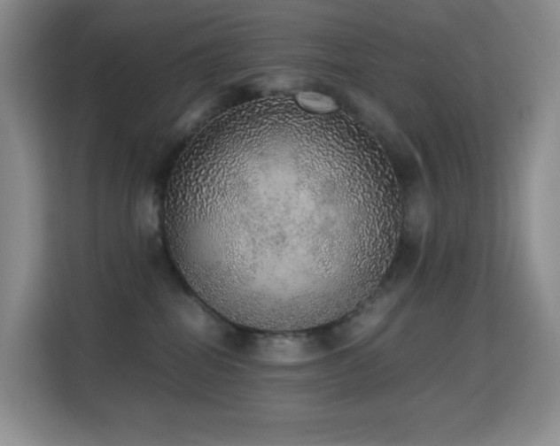 X0000114680282200910211216