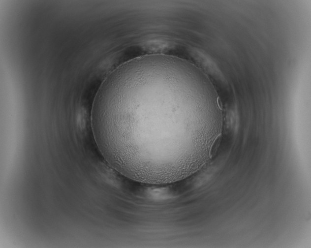 X0000114680283200910211216