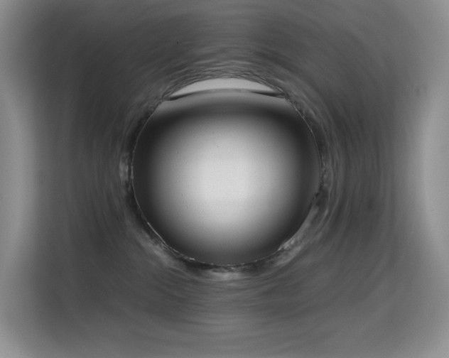 X0000114680284200910211216