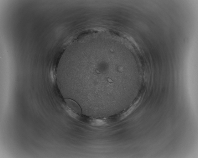 X0000114680285200910211216