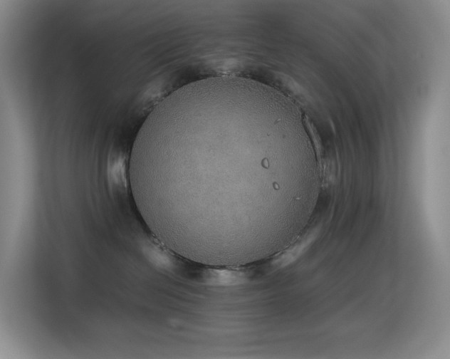 X0000114680286200910211216