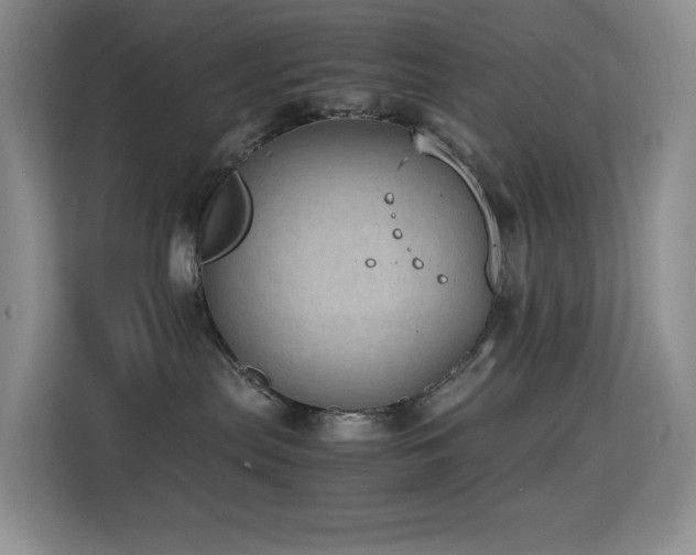 X0000114680287200910211216