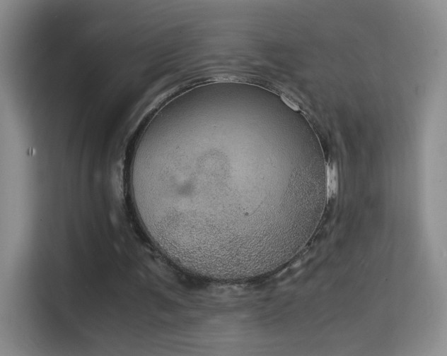 X0000114680291200910211216