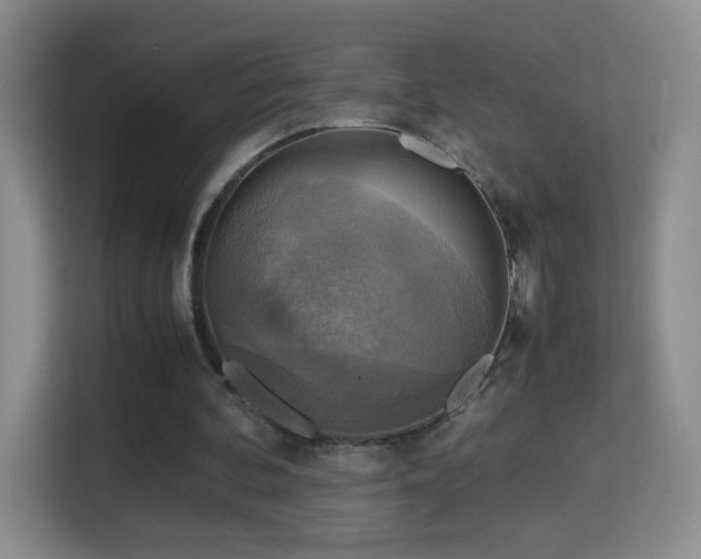 X0000114680292200910211216