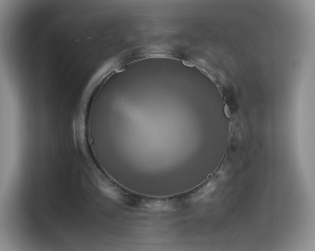X0000114680293200910211216