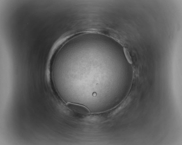 X0000114680294200910211216
