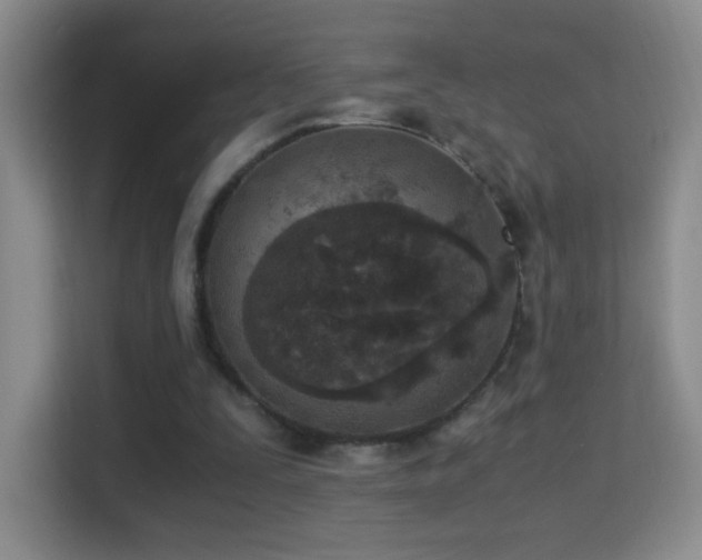 X0000114680295200910211216