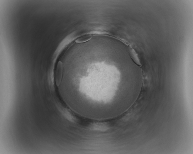 X0000114680296200910211216