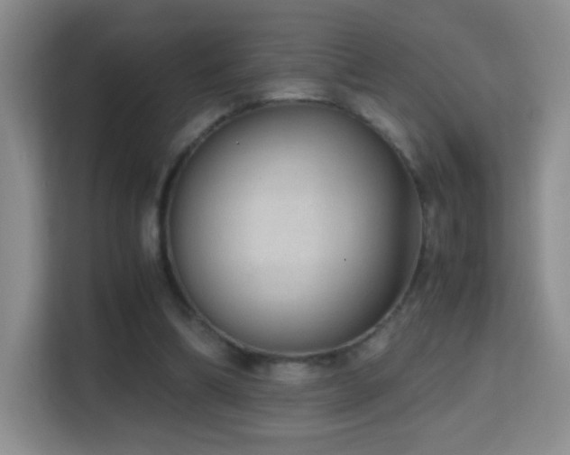 X0000114680298200910211216
