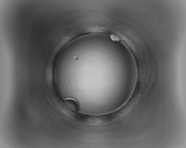 X0000114680299200910211216