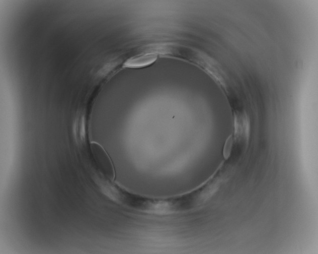 X0000114680301200910211216