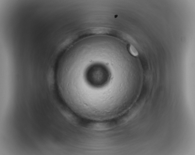 X0000114680303200910211215