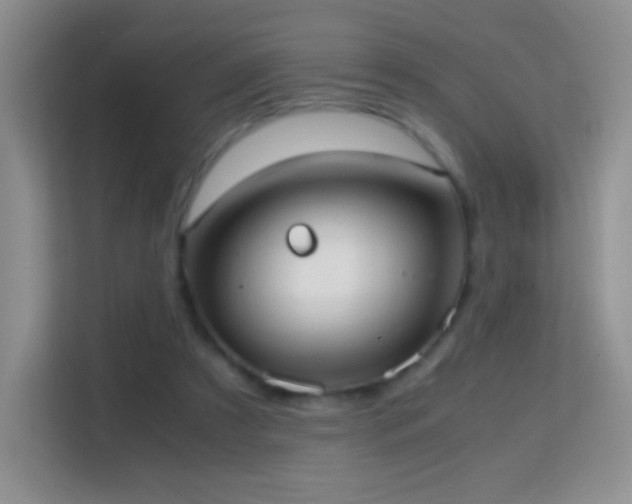 X0000114680305200910211215