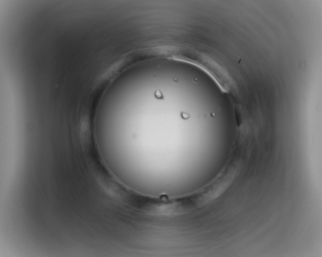 X0000114680306200910211215