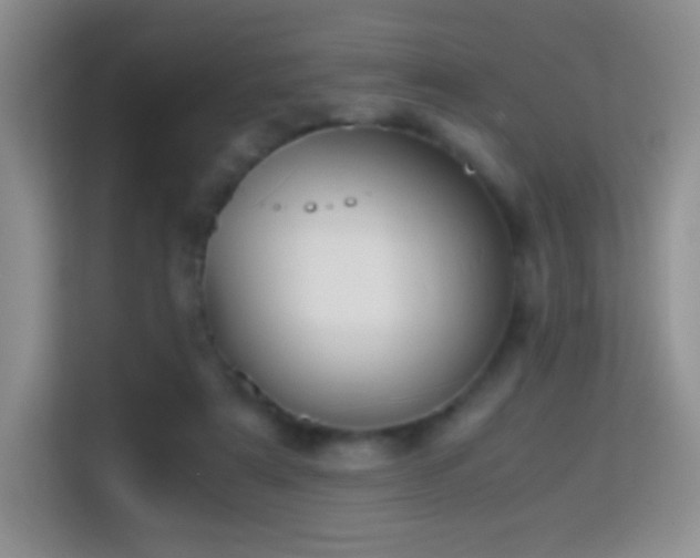 X0000114680307200910211215