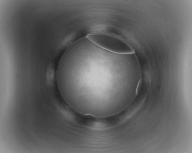 X0000114680308200910211215