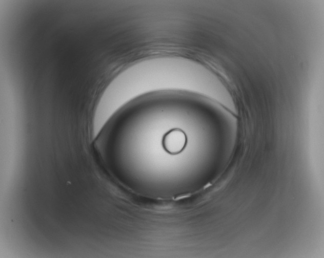 X0000114680309200910211215