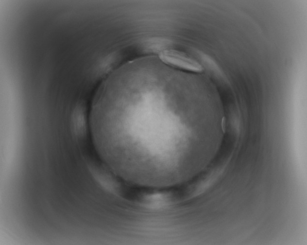 X0000114680312200910211215