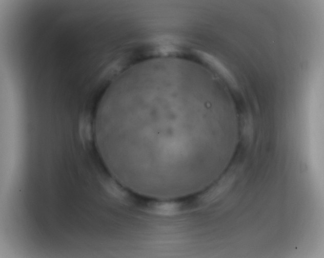 X0000114680313200910211215