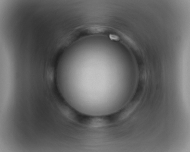X0000114680315200910211215