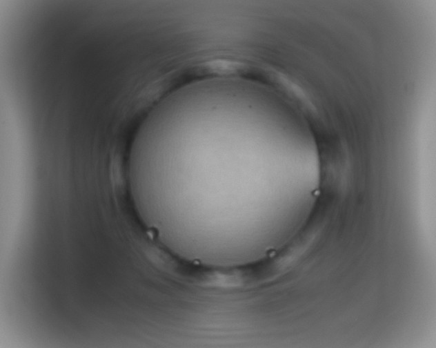 X0000114680317200910211215