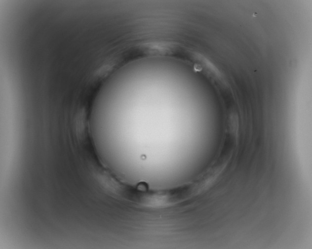 X0000114680318200910211215