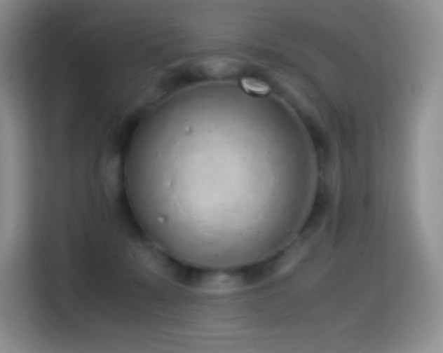 X0000114680319200910211215