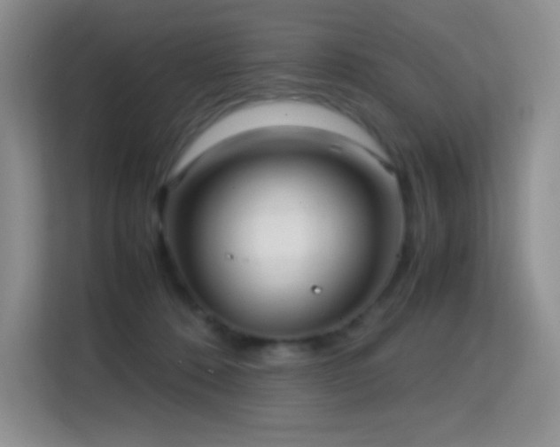 X0000114680320200910211215