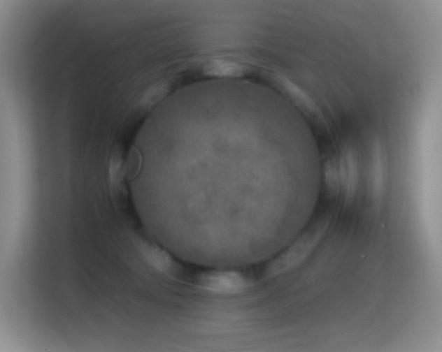 X0000114680322200910211215