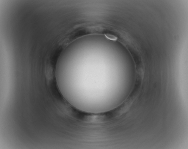 X0000114680323200910211215