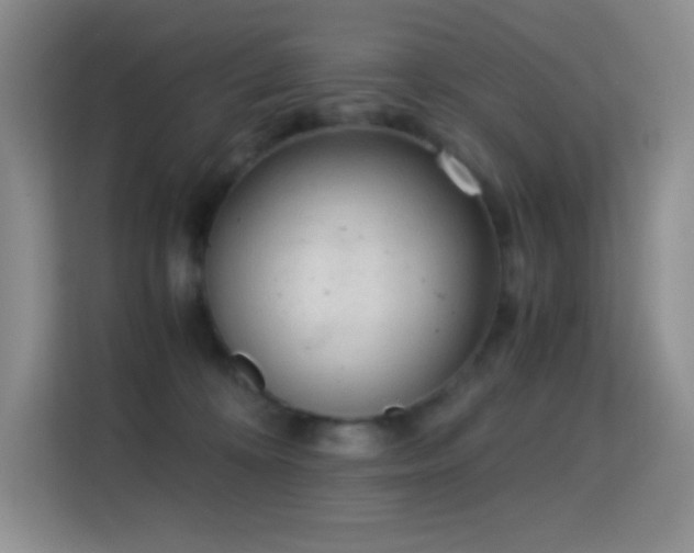 X0000114680324200910211215