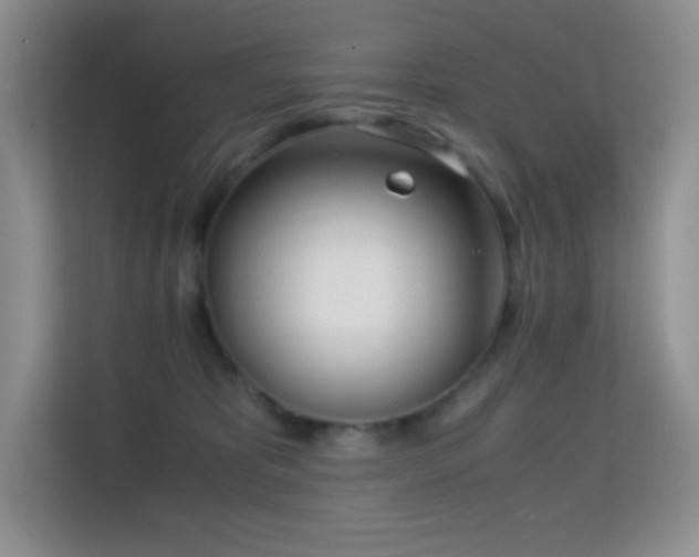 X0000114680325200910211215