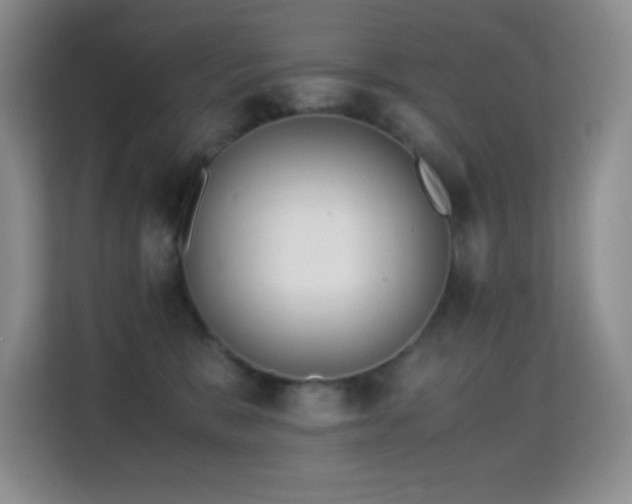 X0000114680327200910211215