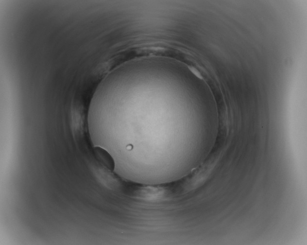 X0000114680328200910211215