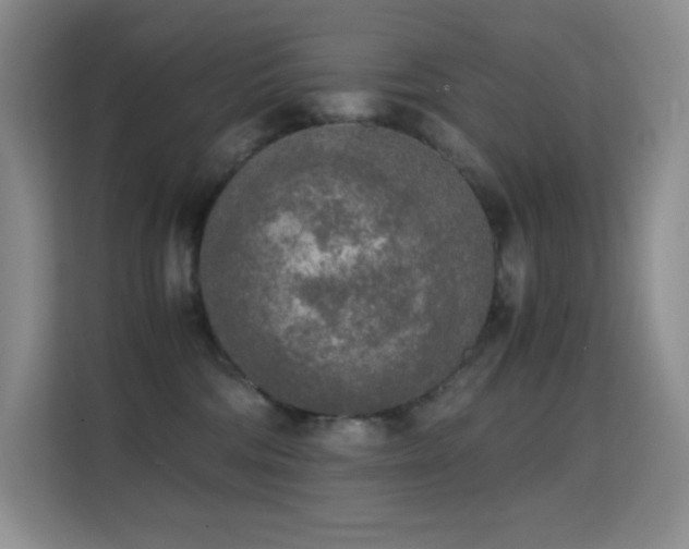 X0000114680330200910211215