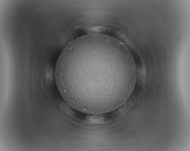 X0000114680331200910211215