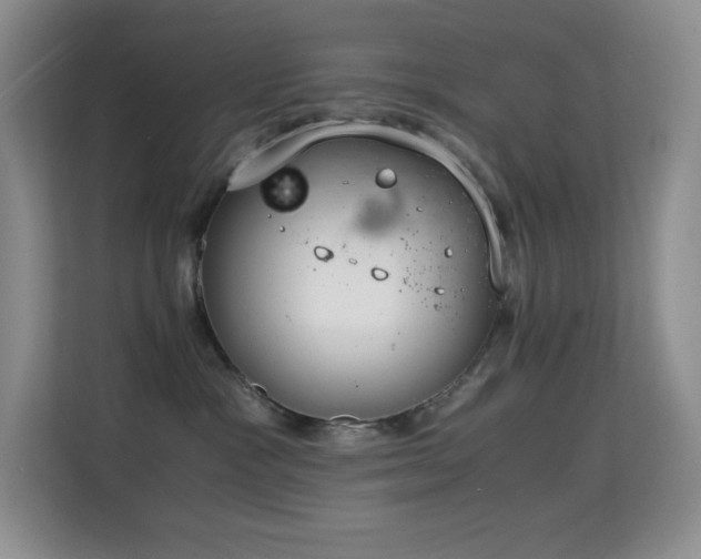 X0000114680333200910211215