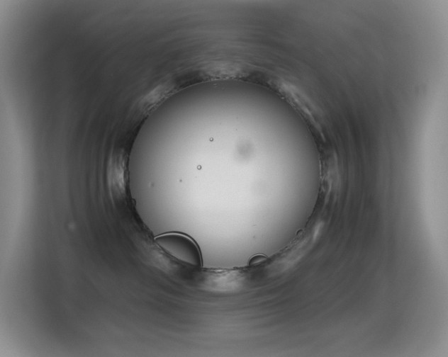X0000114680334200910211215