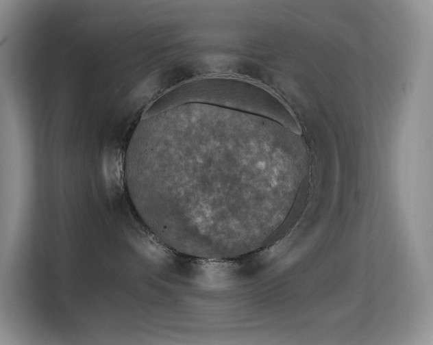 X0000114680336200910211215