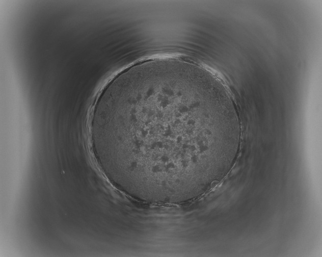 X0000114680337200910211214