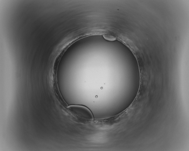 X0000114680338200910211214