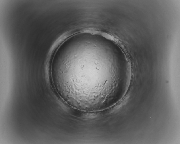 X0000114680341200910211214