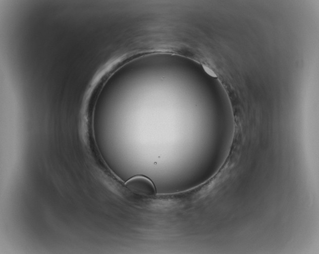 X0000114680342200910211215