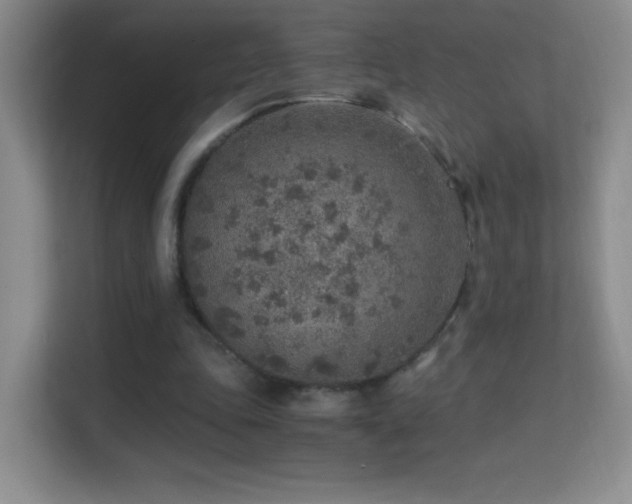 X0000114680343200910211215