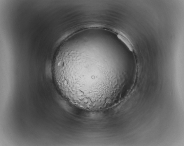 X0000114680345200910211215