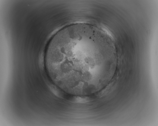 X0000114680346200910211215