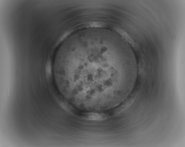 X0000114680347200910211215