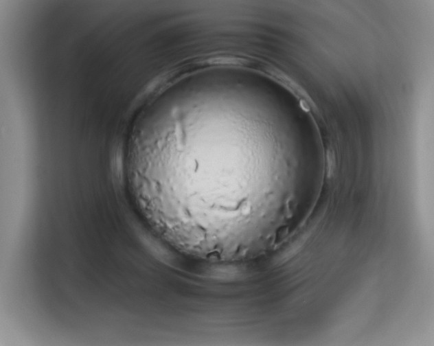 X0000114680349200910211215