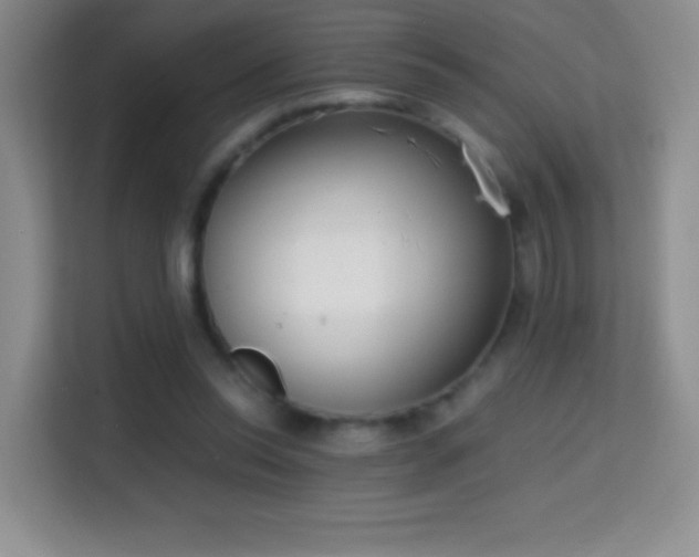 X0000114680350200910211215